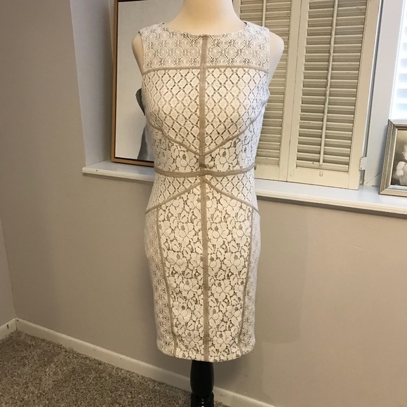 maggy london dresses nordstrom